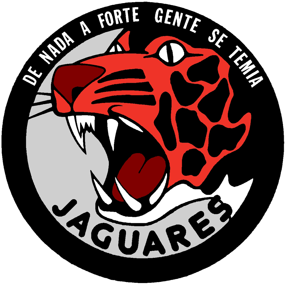 Esquadra 301 - "Jaguares"